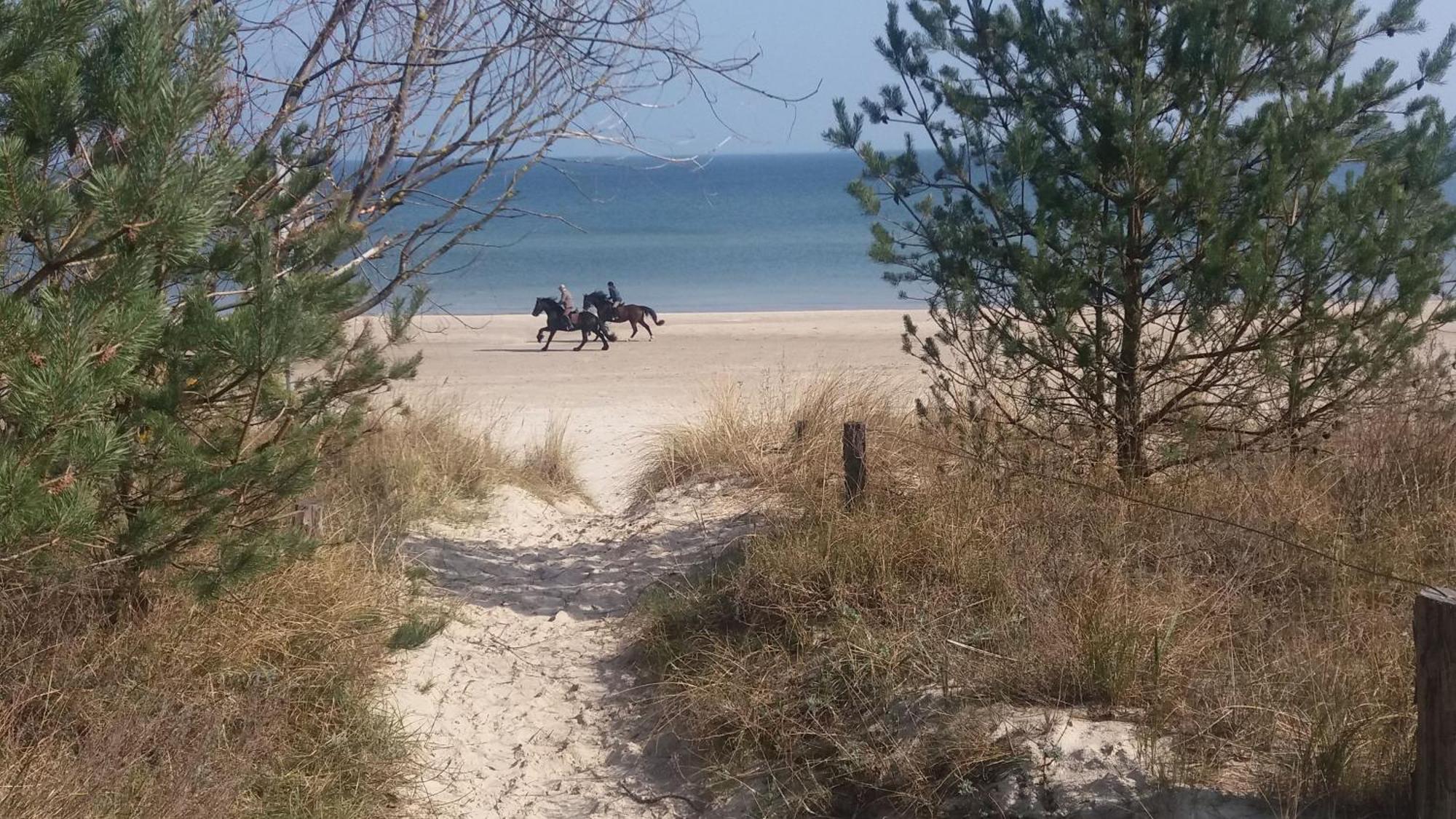 Ostseemuschel Karlshagen Dış mekan fotoğraf